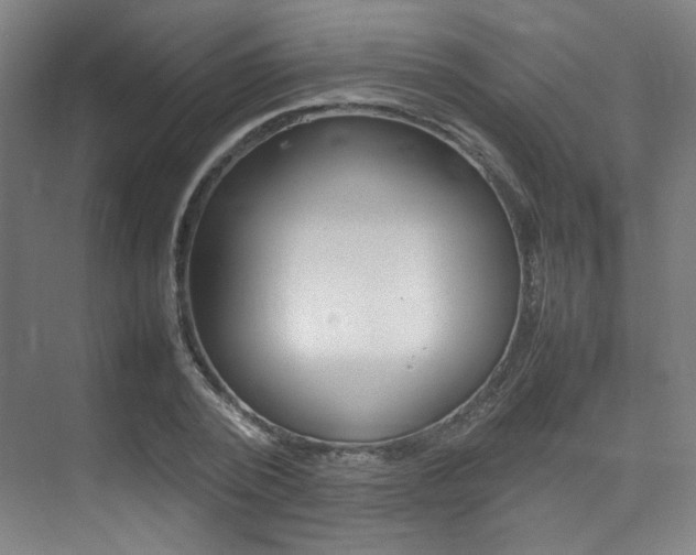 X0000075360784200609080837