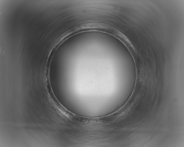 X0000075360786200609080837