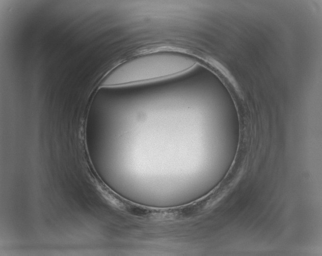 X0000075360793200609080837