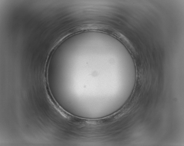 X0000075360794200609080837