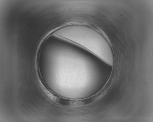 X0000075360795200609080837
