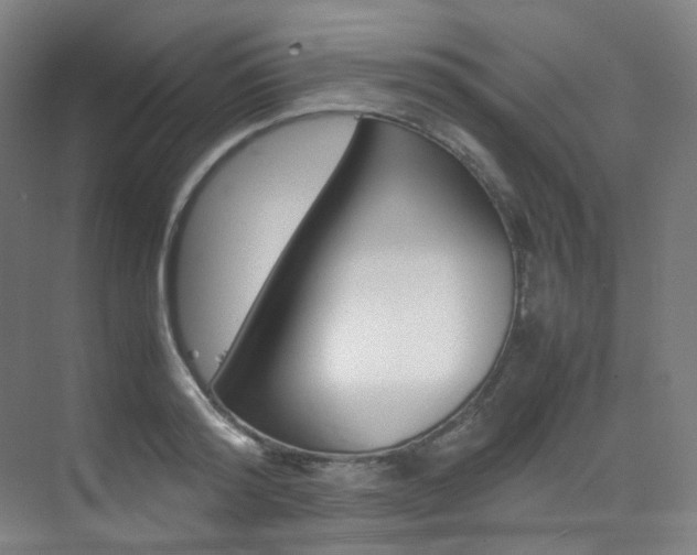 X0000075360796200609080837