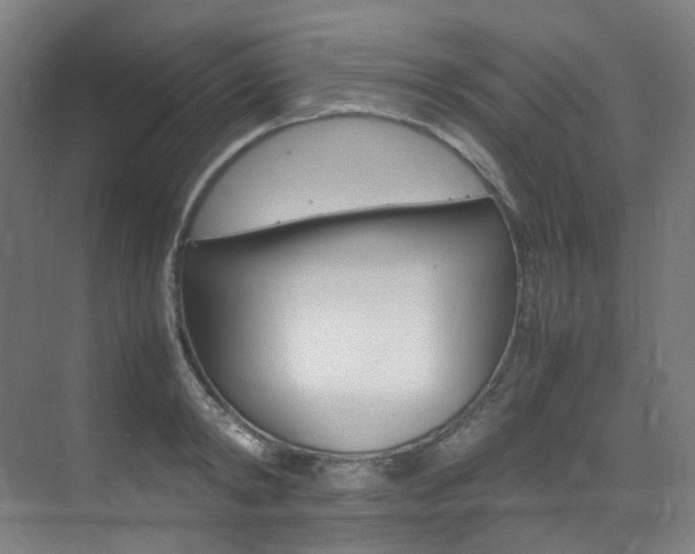 X0000075360798200609080837