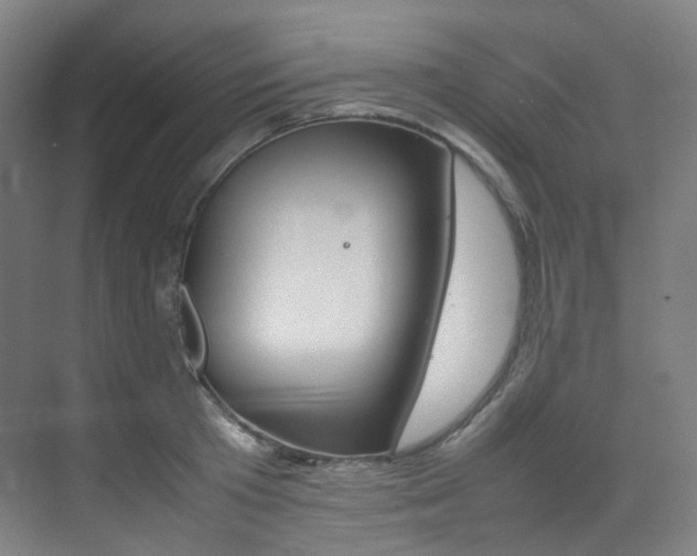 X0000075360801200609080837