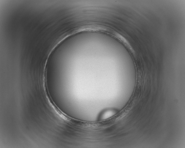 X0000075360802200609080837