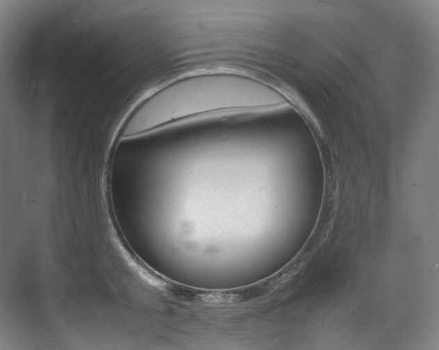 X0000075360805200609080837