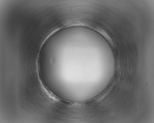 X0000075360806200609080837