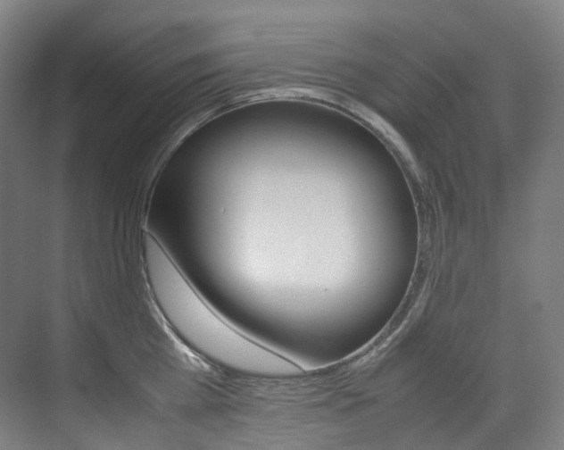 X0000075360809200609080837