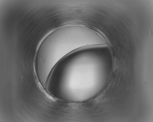 X0000075360812200609080837