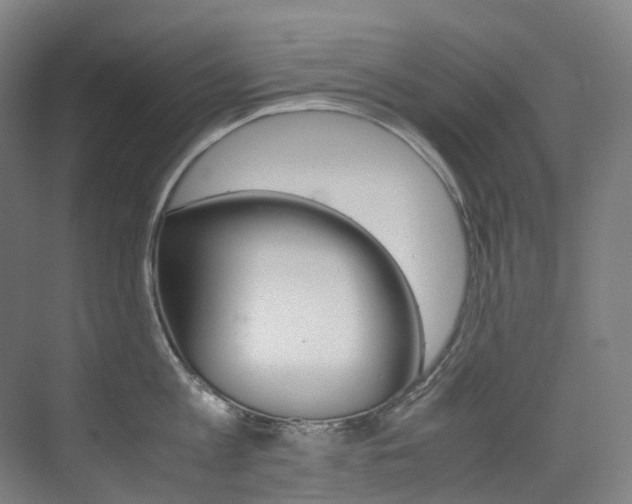 X0000075360813200609080837