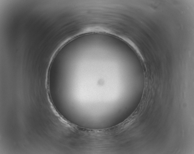 X0000075360815200609080837