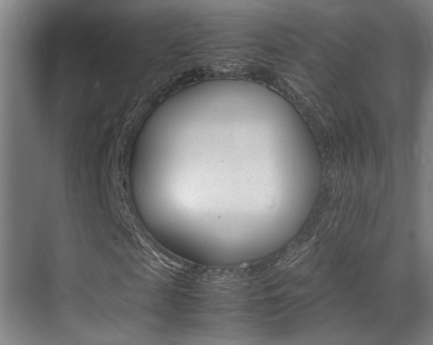 X0000075360817200609080836