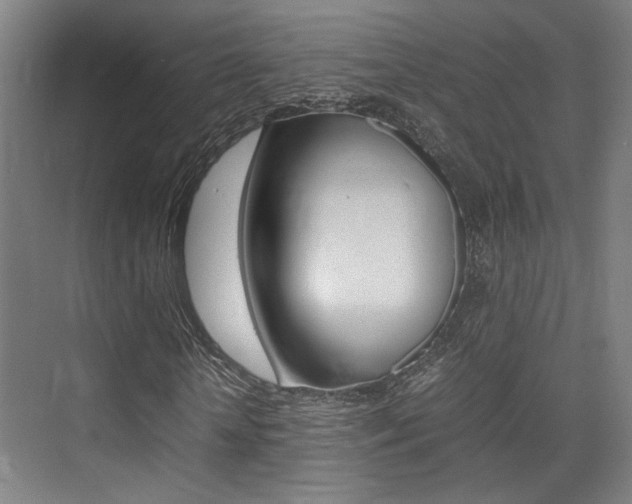 X0000075360818200609080836