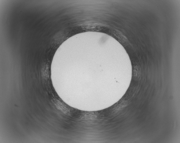 X0000075360820200609080836
