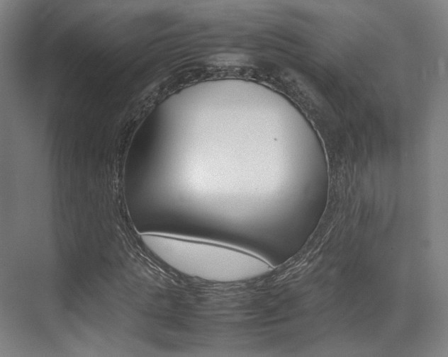X0000075360821200609080836