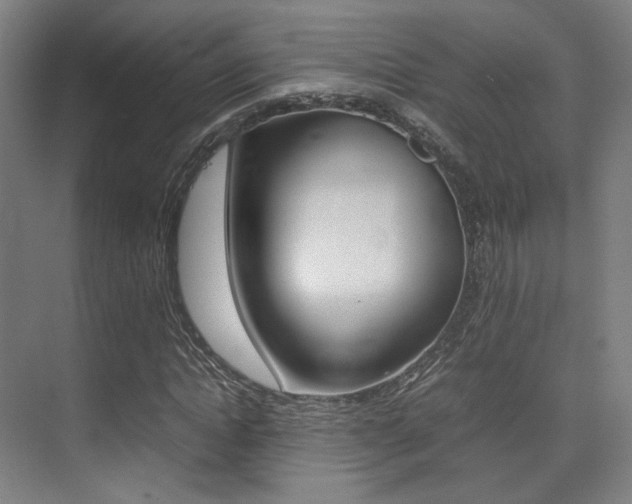 X0000075360822200609080836