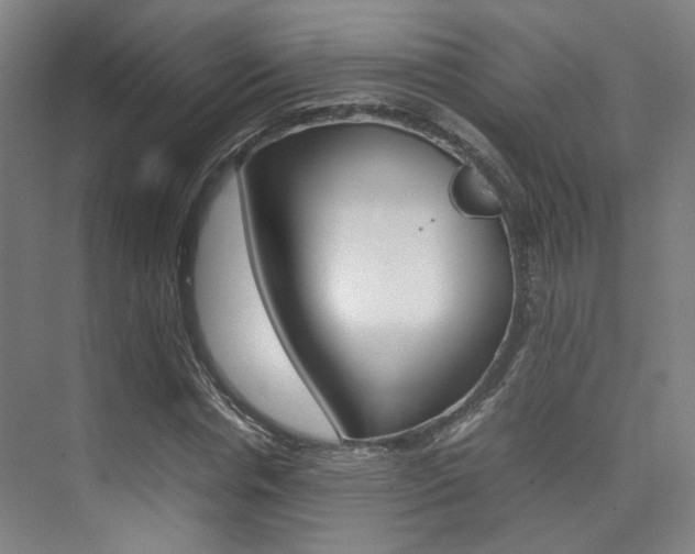X0000075360826200609080836