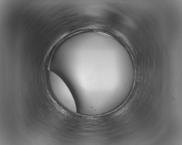 X0000075360827200609080836