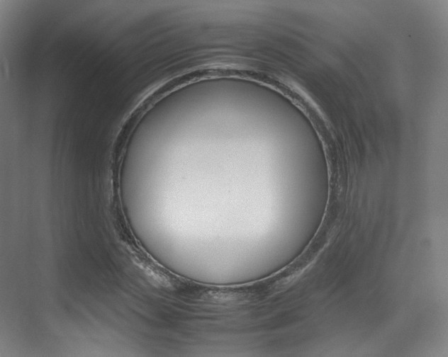 X0000075360829200609080836