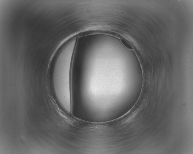 X0000075360830200609080836