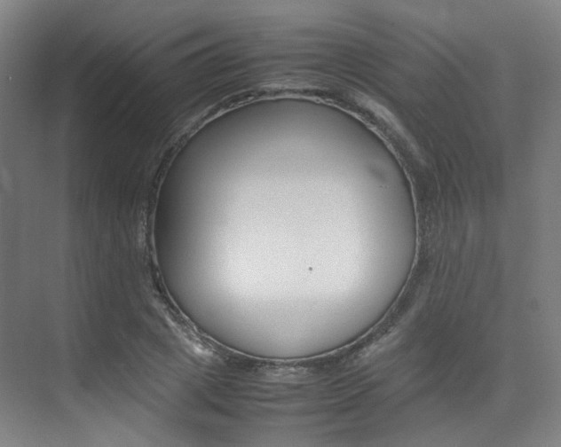 X0000075360833200609080836
