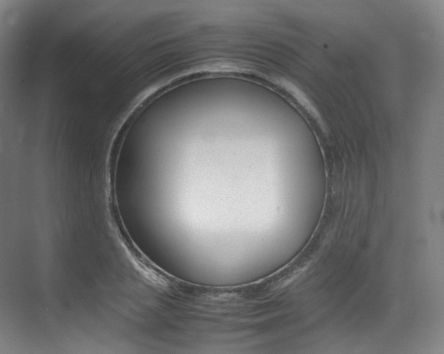 X0000075360837200609080836
