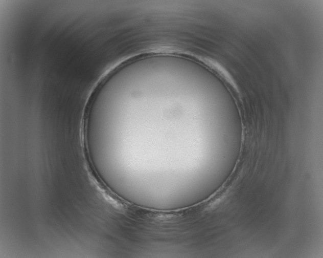 X0000075360839200609080836