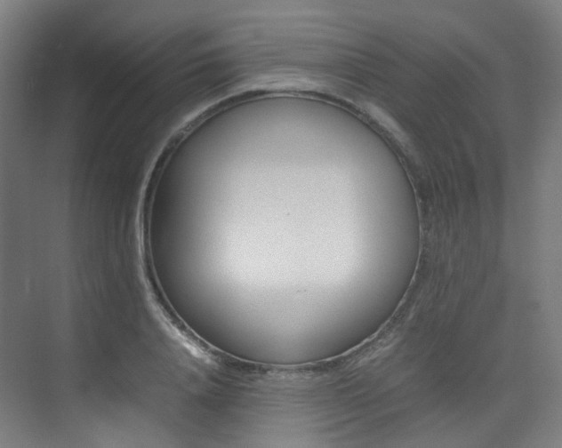 X0000075360840200609080836