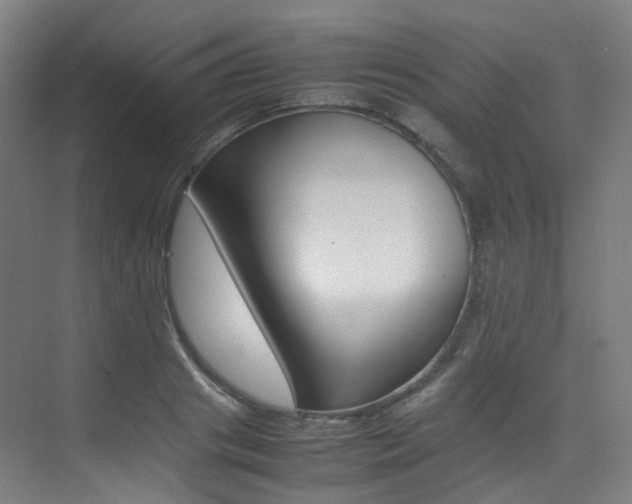 X0000075360841200609080836
