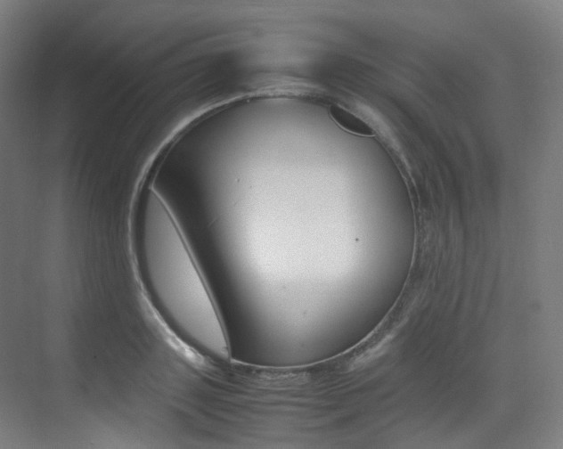 X0000075360843200609080836