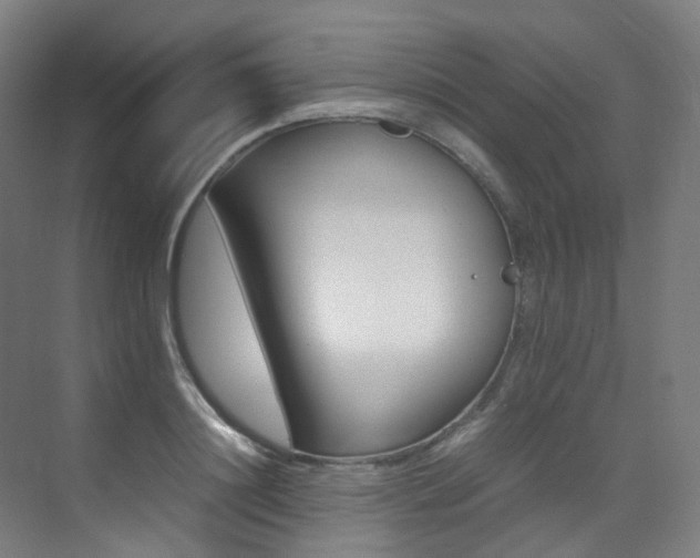 X0000075360844200609080836