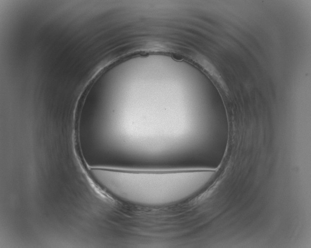 X0000075360845200609080836