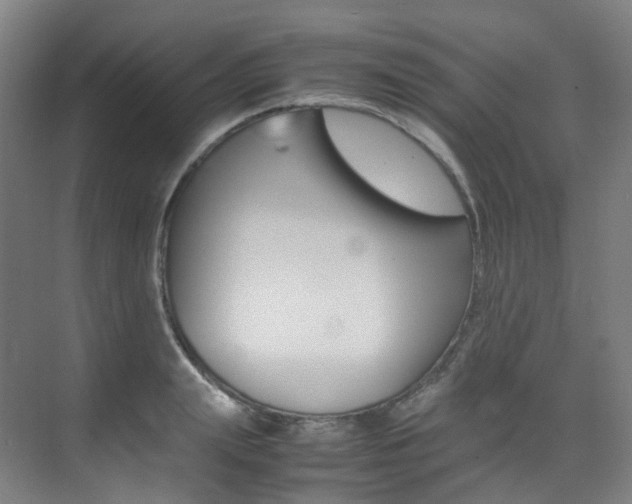 X0000075360847200609080836