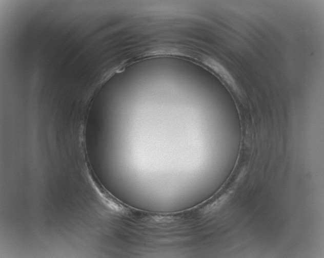 X0000075360849200609080836