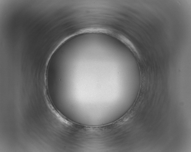 X0000075360852200609080837