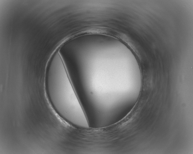 X0000075360853200609080837