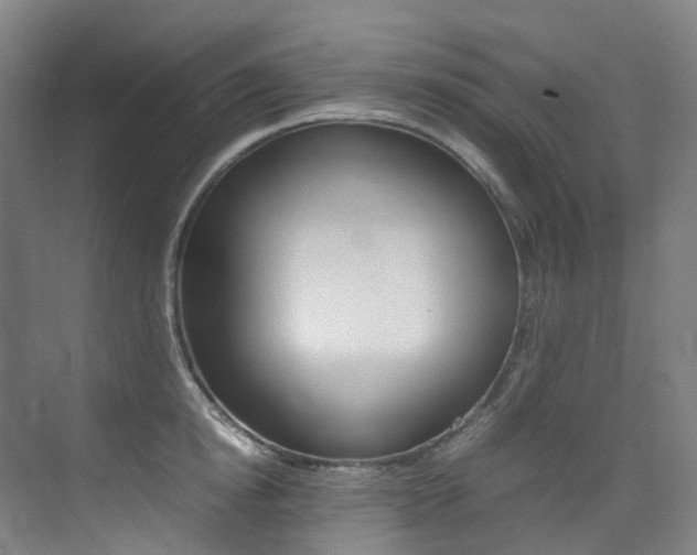 X0000075360854200609080837