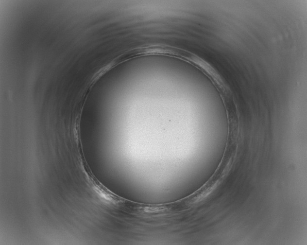 X0000075360857200609080837