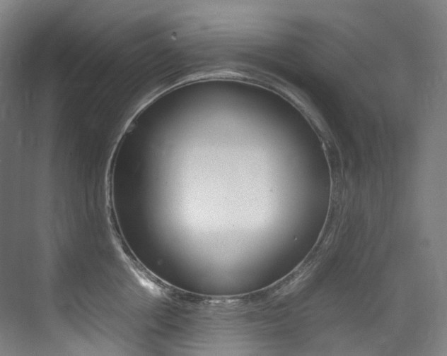 X0000075360858200609080837