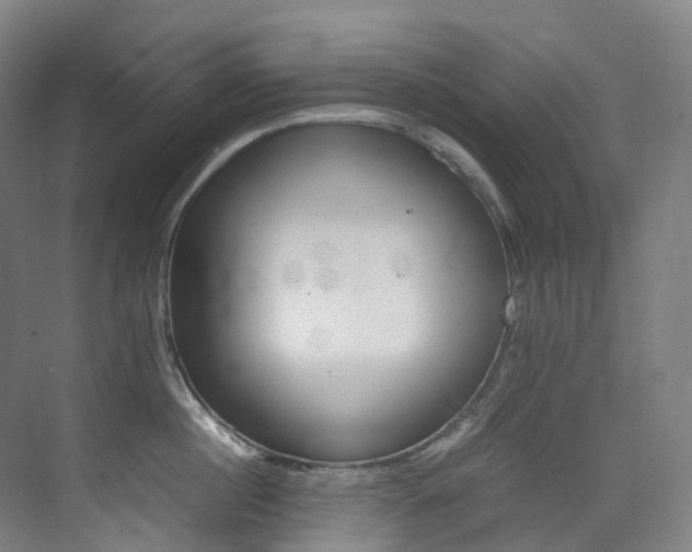 X0000075360860200609080837