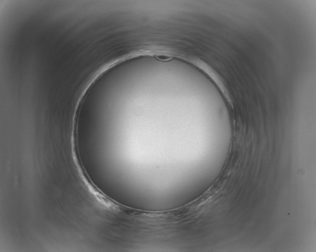 X0000075360861200609080837
