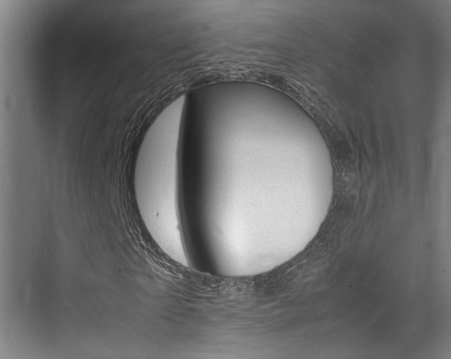 X0000075360865200609080836
