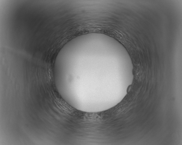 X0000075360866200609080836