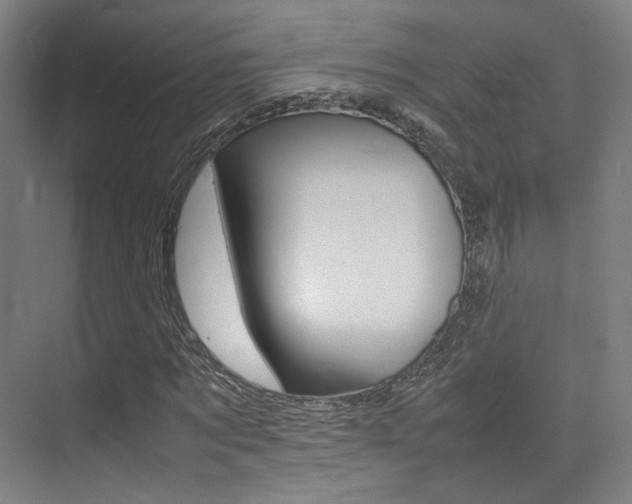 X0000075360869200609080836