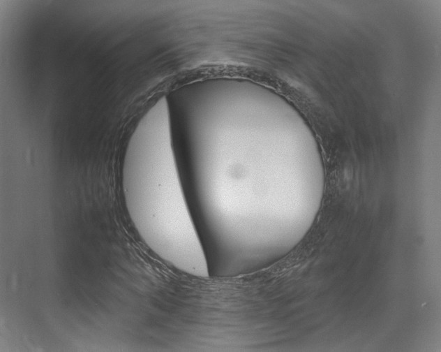 X0000075360870200609080836
