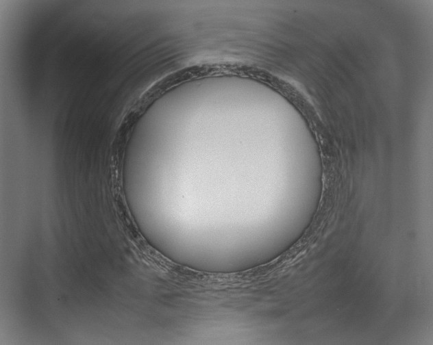 X0000075360871200609080836