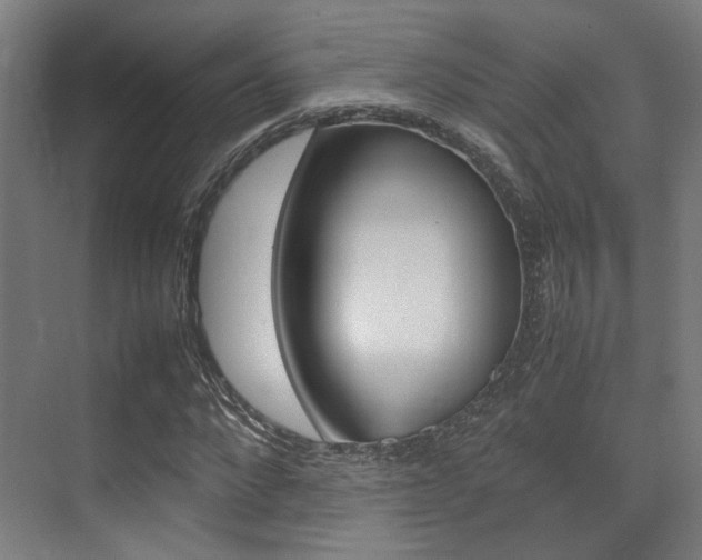 X0000075360872200609080836