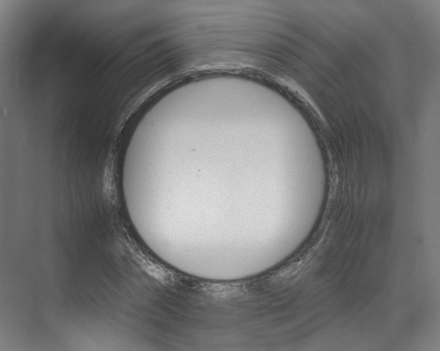 X0000075360874200609080836