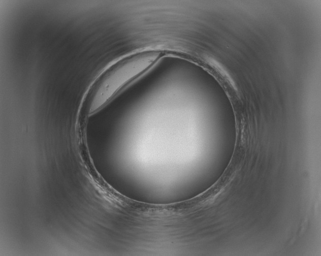 X0000075360876200609080836