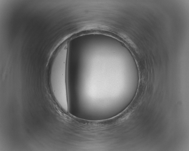 X0000075360877200609080836